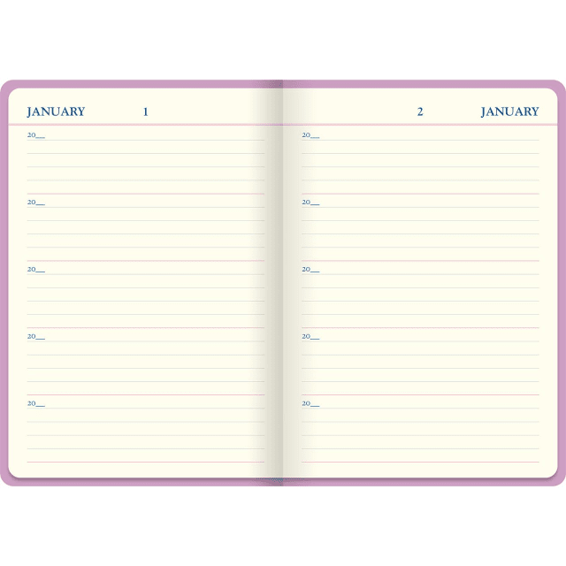 LETTS Icon A5 5 year Diary Pink