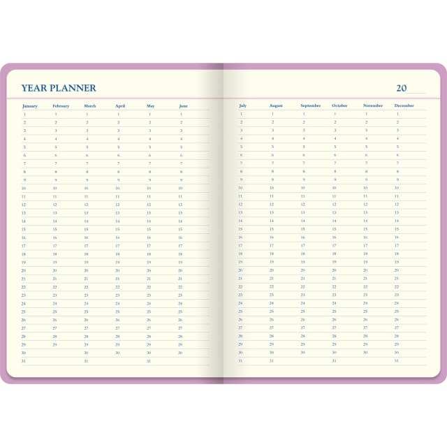 LETTS Icon A5 5 year Diary Pink