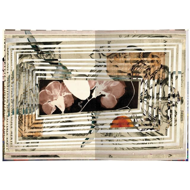 CHRISTIAN LACROIX B5 HC Journal Curiosities