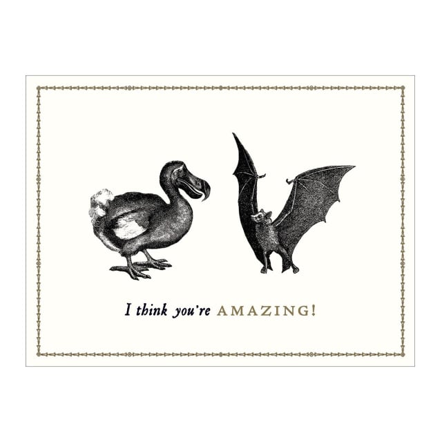 GALISON Alice Scott 16 Asstd Greeting Cards