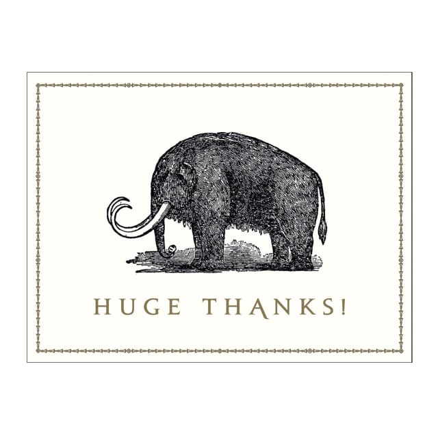 GALISON Alice Scott 16 Asstd Greeting Cards