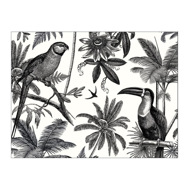 GALISON Alice Scott 16 Asstd Greeting Cards