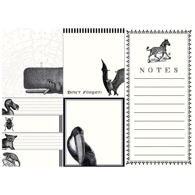 GALISON Alice Scott 480 Sticky Notes