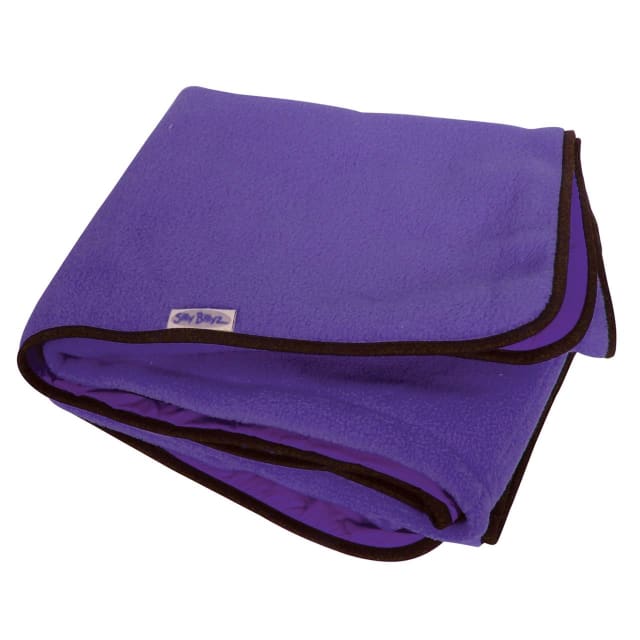 SILLY BILLYZ PLAY/FLOOR MAT PURPLE 140X100