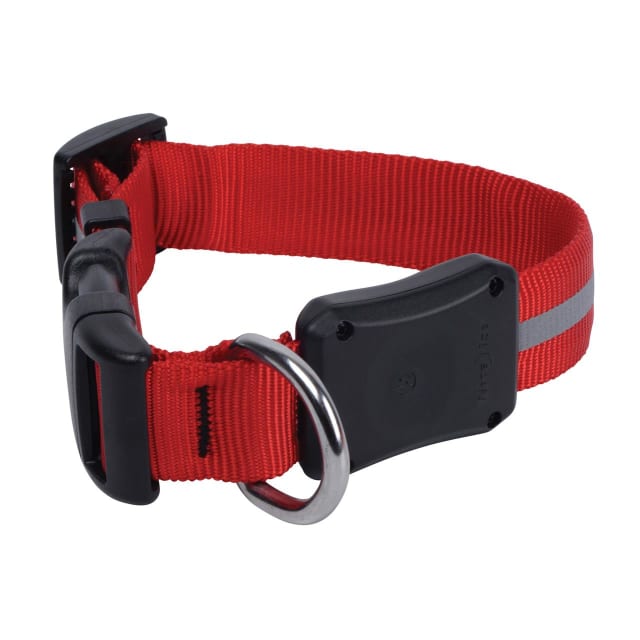 NITE IZE Nite Dawg庐 LED Dog Collar - Small - Red