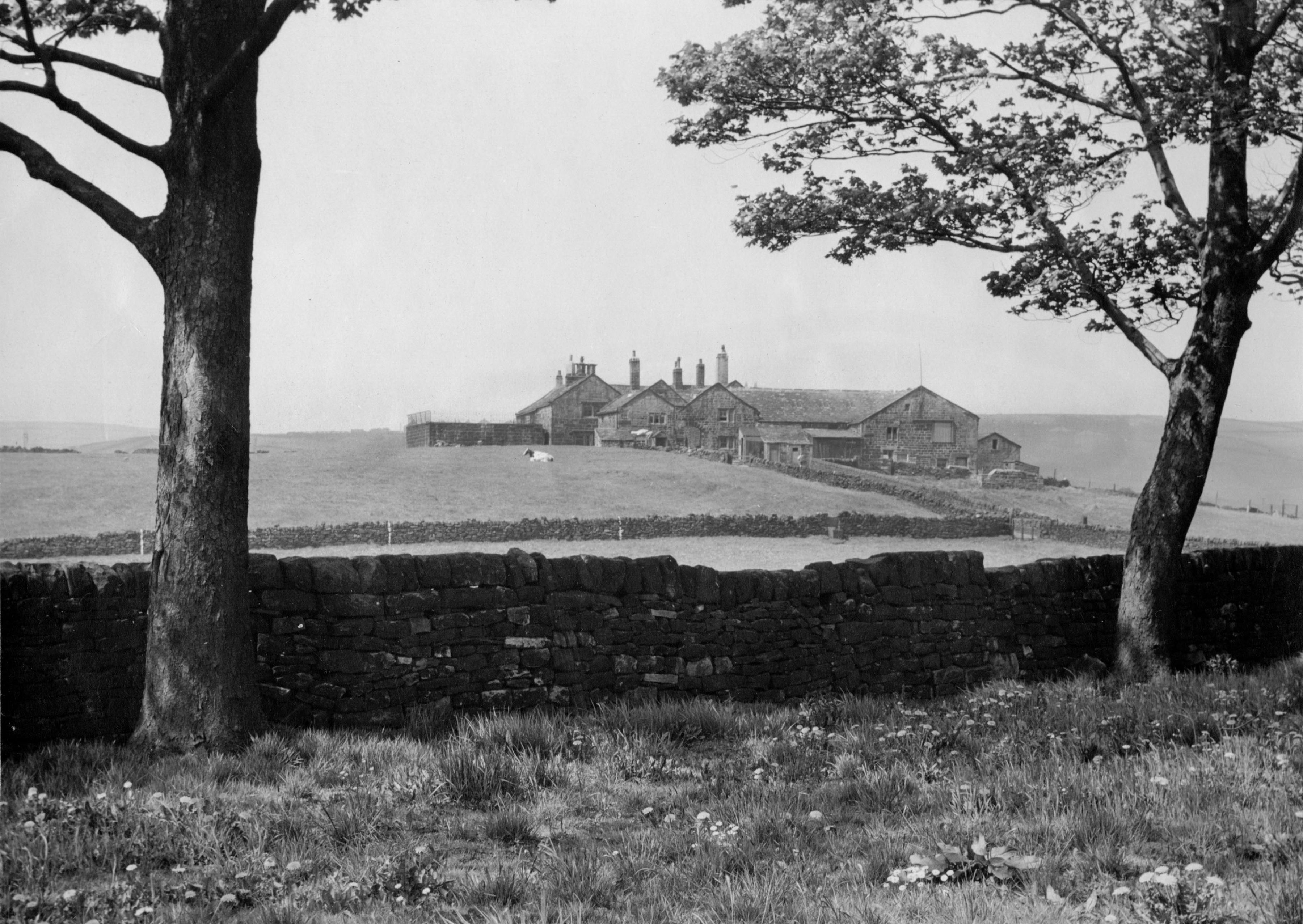 4 High Hirst PHDA.jpg