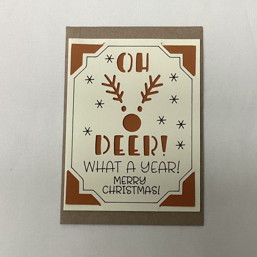 Kerstkaart / What a year
