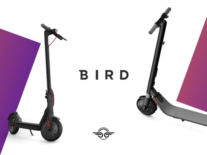 Charging bird shop scooters