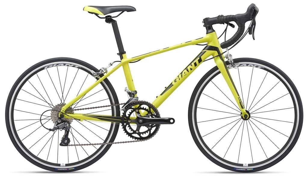 24" Giant TCR Espoir - Green