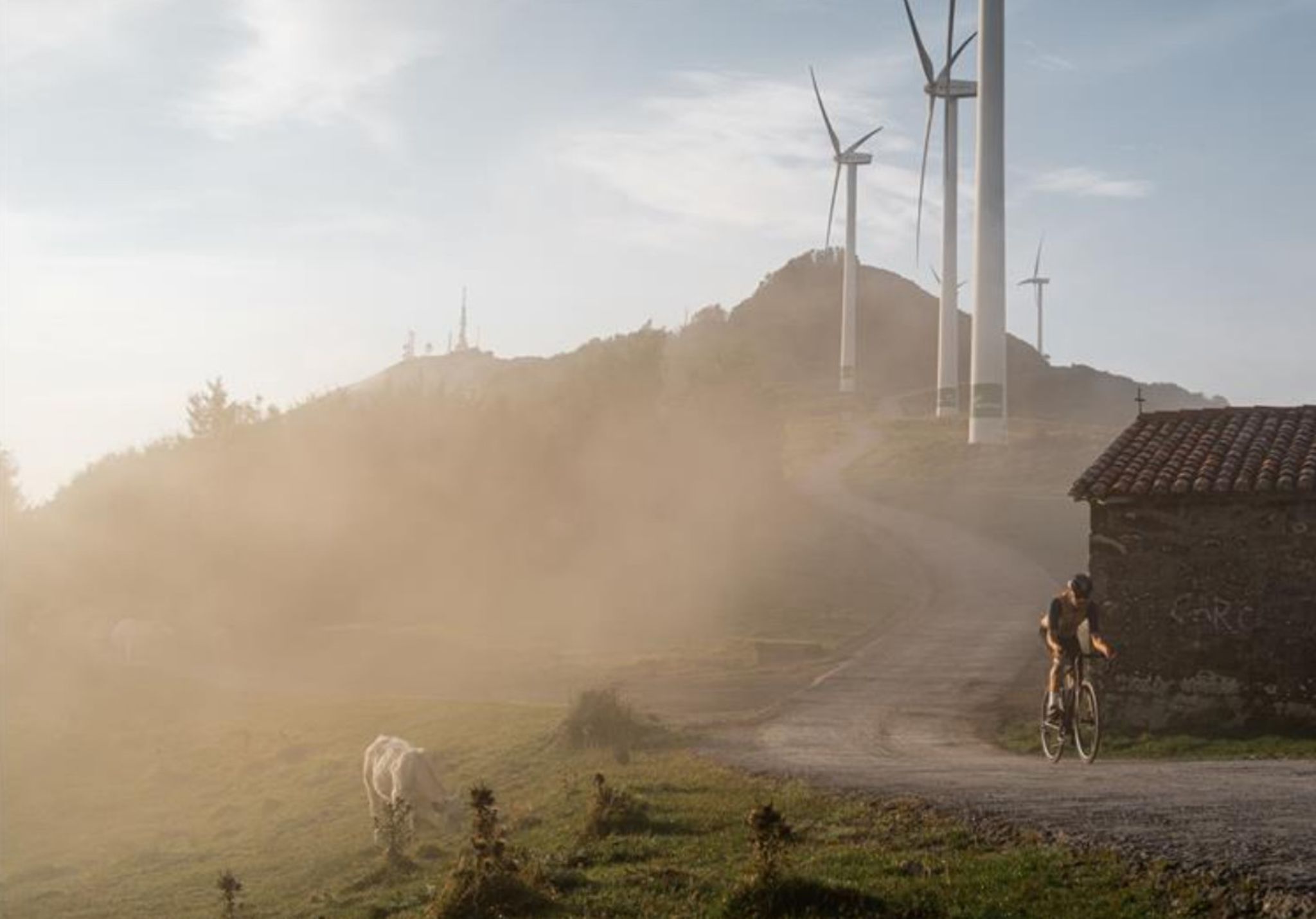 Orbea Orca OMR M20 Team 2022 - Dark Green -ShopE-Moto Shop hr4gyntsfovonrjl98pm