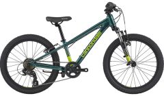 20 Cannondale Trail Boys