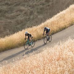 Giro Chrono Expert Wind Vest - Red