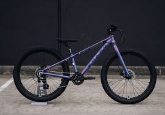 Haro FLightline Plus Disc 24 Chameleon-15