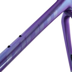 Giant TCR Advanced SL Frameset 2024 Blurple-40