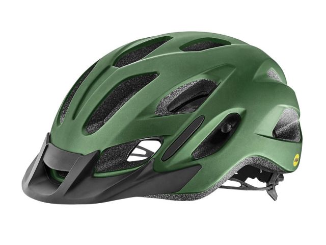 giant bike helmet