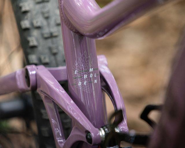 Liv Embolden 2 2022 LG Purple Ash Ivanhoe Cycles