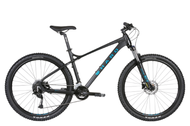 haro double peak 29