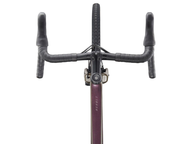 Giant Revolt Advanced 2 2021 5