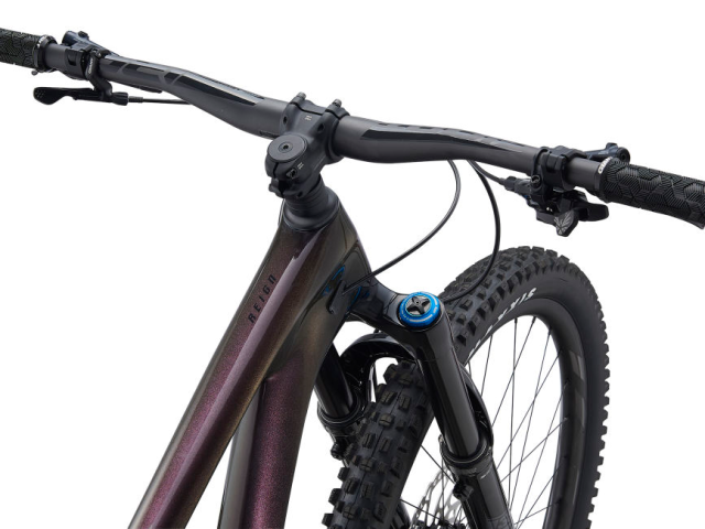 Giant Reign Advanced Pro 29 1 2021 5