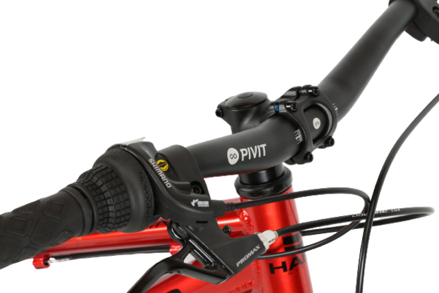 Haro Flightline 20 Red 2