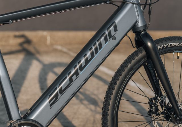 Schwinn Voador-40