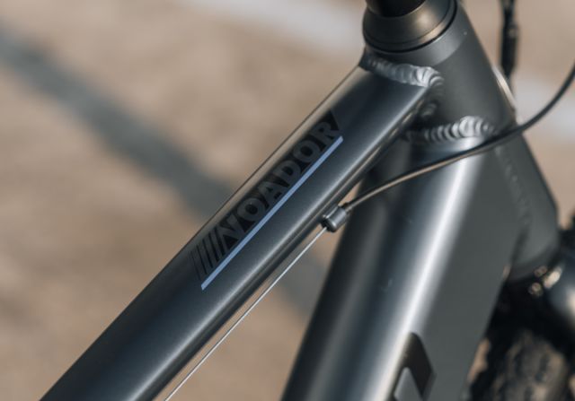 Schwinn Voador-30