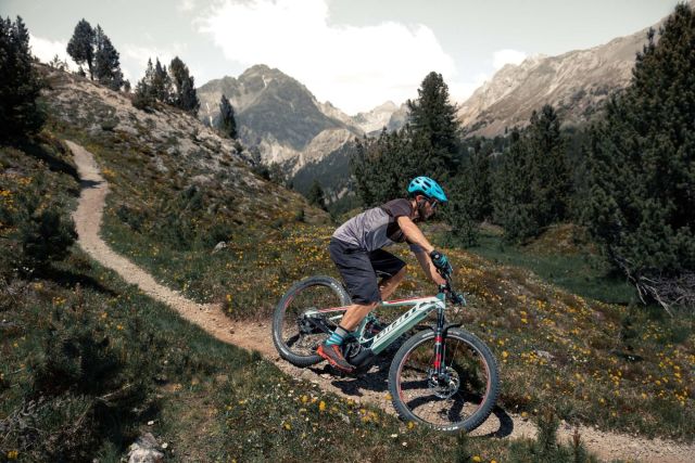 giant fastroad mudguards