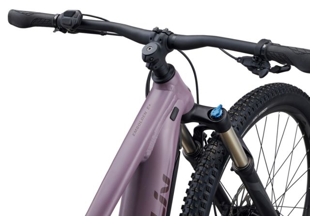 Liv Embolden E+ 2 2022 - Purple Ash
