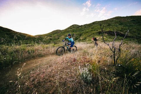 Liv Embolden 2 2020 Small