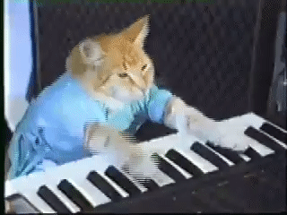 Keyboard Cat GIF