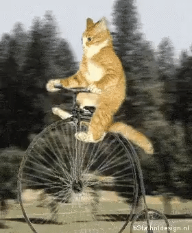 Old Timey Bike GIF
