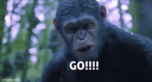 Go GIF