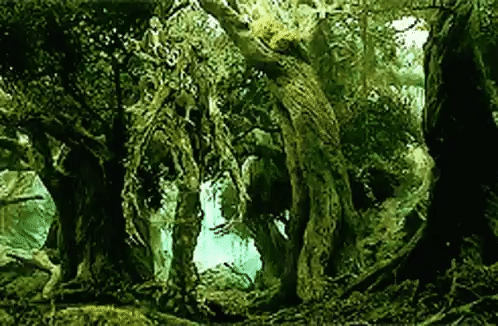 Lotr Treebeard GIF