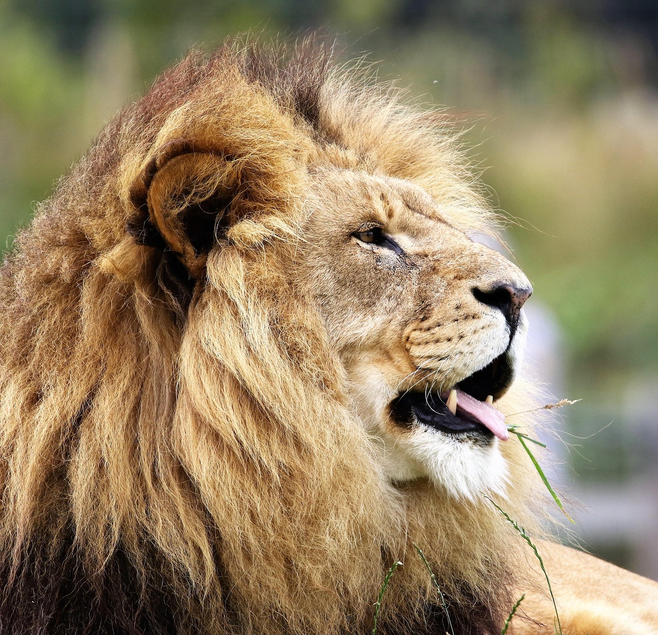 King & King firm sanctioned for GFG breaches
