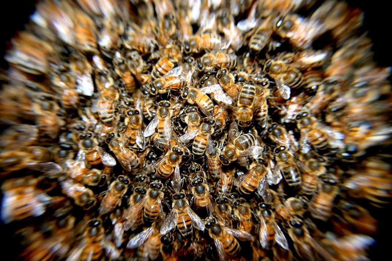 Dermatologists Explain How to Quickly Remove Hives