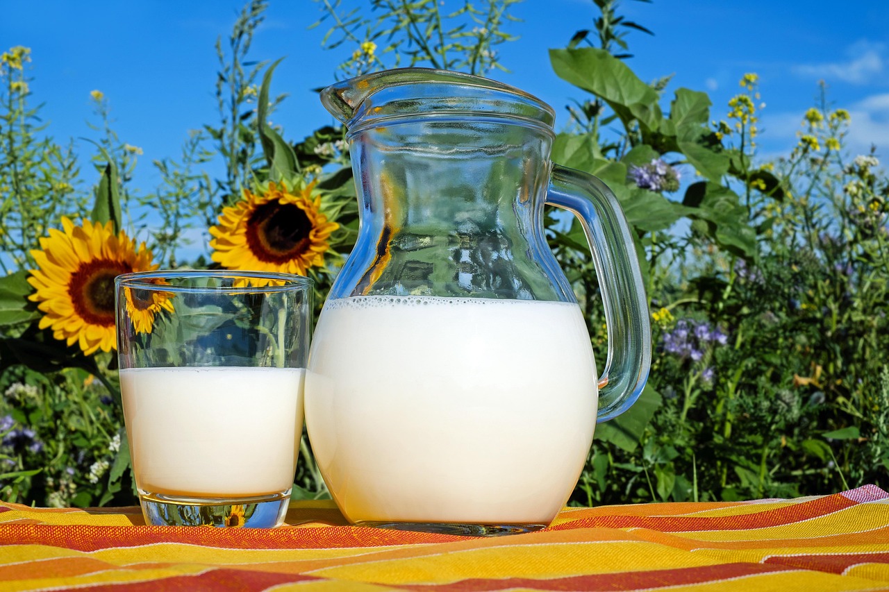 Is Milk Healthy Or Harmful To Your Health?