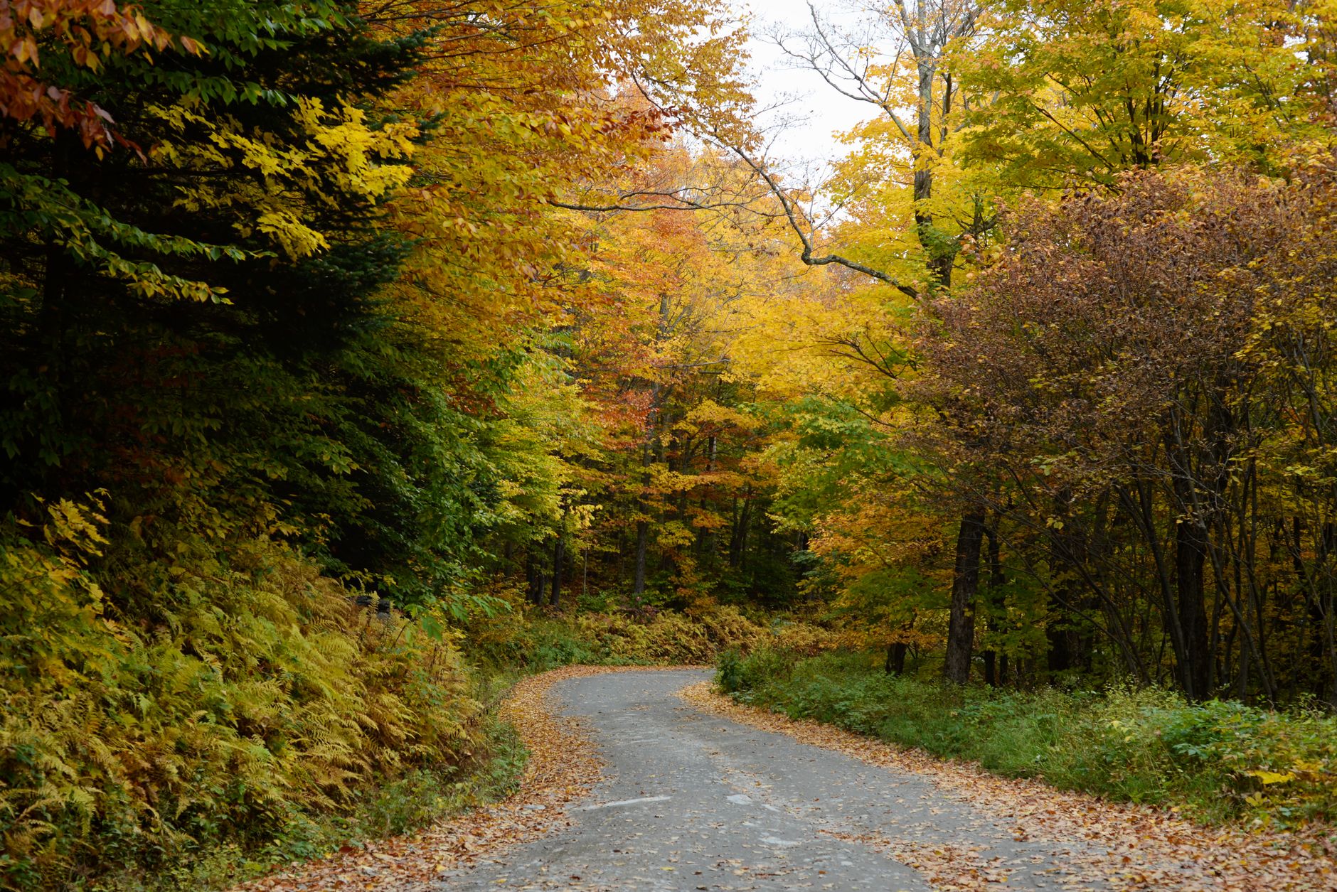 Vermont Home Blends into Rural Landscape