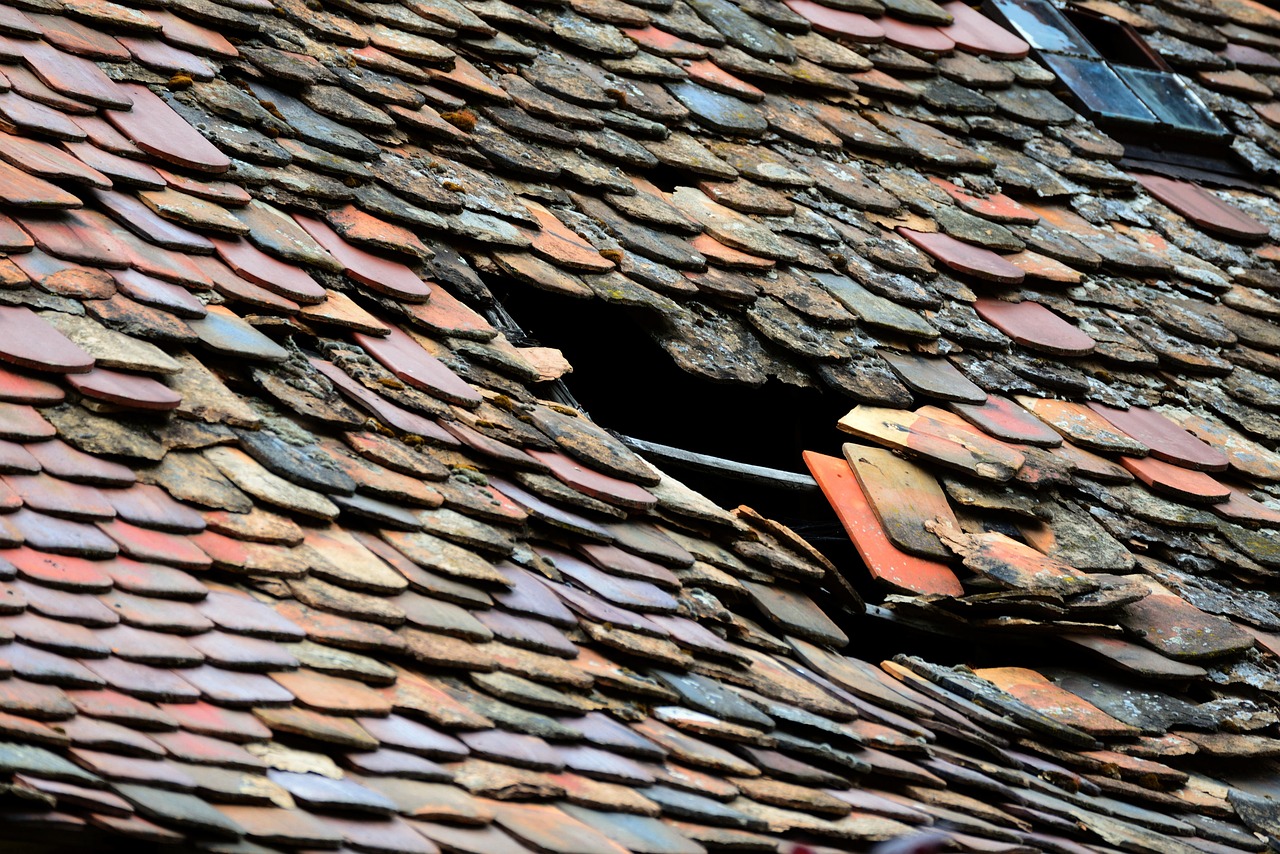 Keep Your Roof Spotless with Aaron’s Roof Cleaning in Leicester