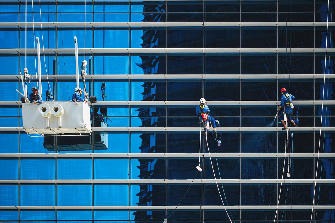 Davie Carpet Cleaning – Professional Mold Remediation Services And Carpet Cleaner In Florida