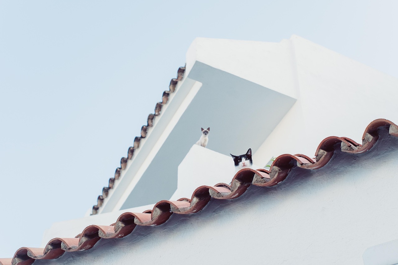 Enhancing the Longevity and Beauty of Your Roof