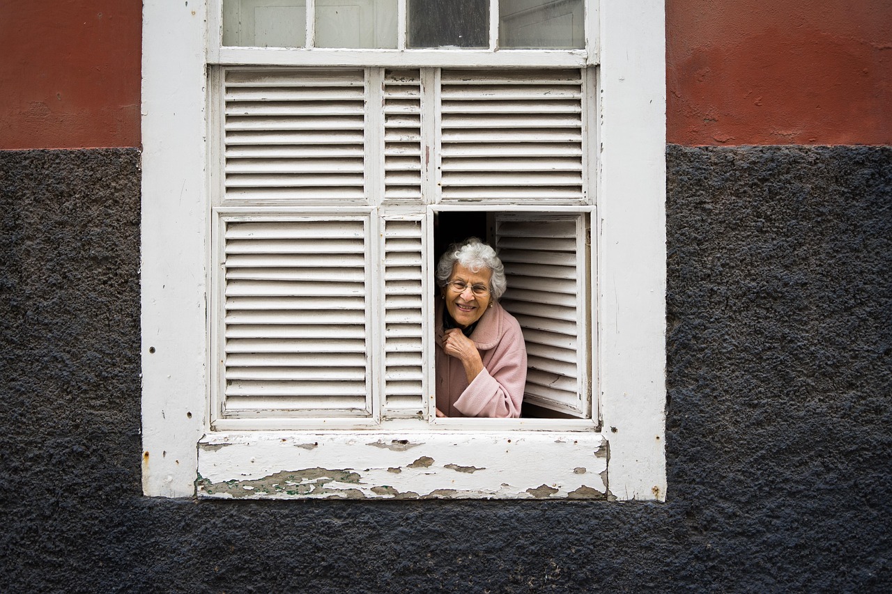 Wholesale Shutters