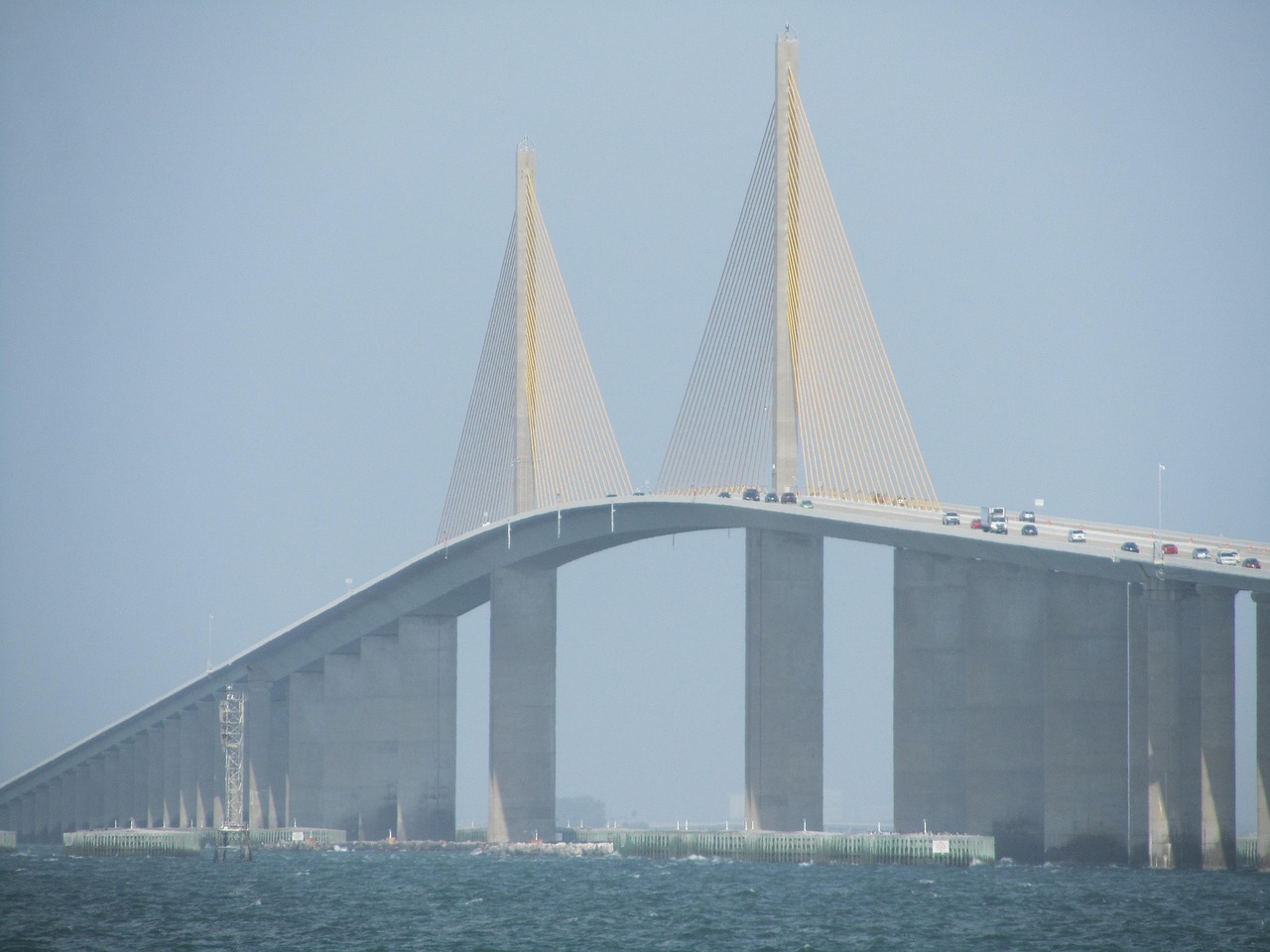 Tampa Bay Mold Testing: Your Trusted Partner in Mold Detection and Remediation