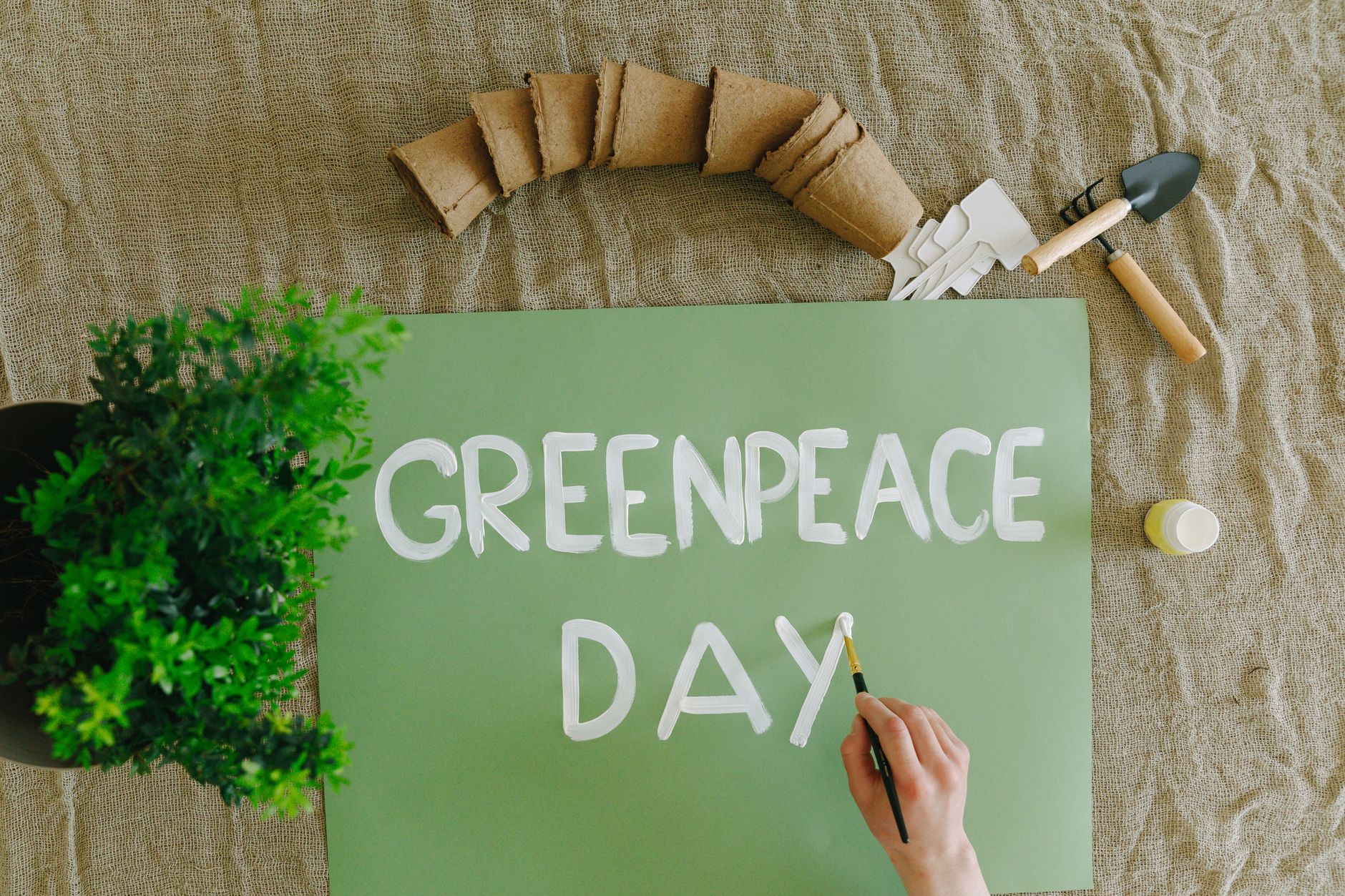 Eco-Friendly Paint That Is Great for Your Home