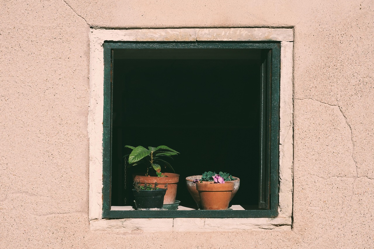 Window Replacement Insights: What Really Shortens a Window’s Lifespan?