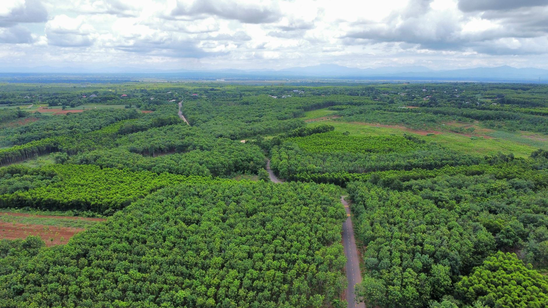 Phu Tho targets future-focused investors