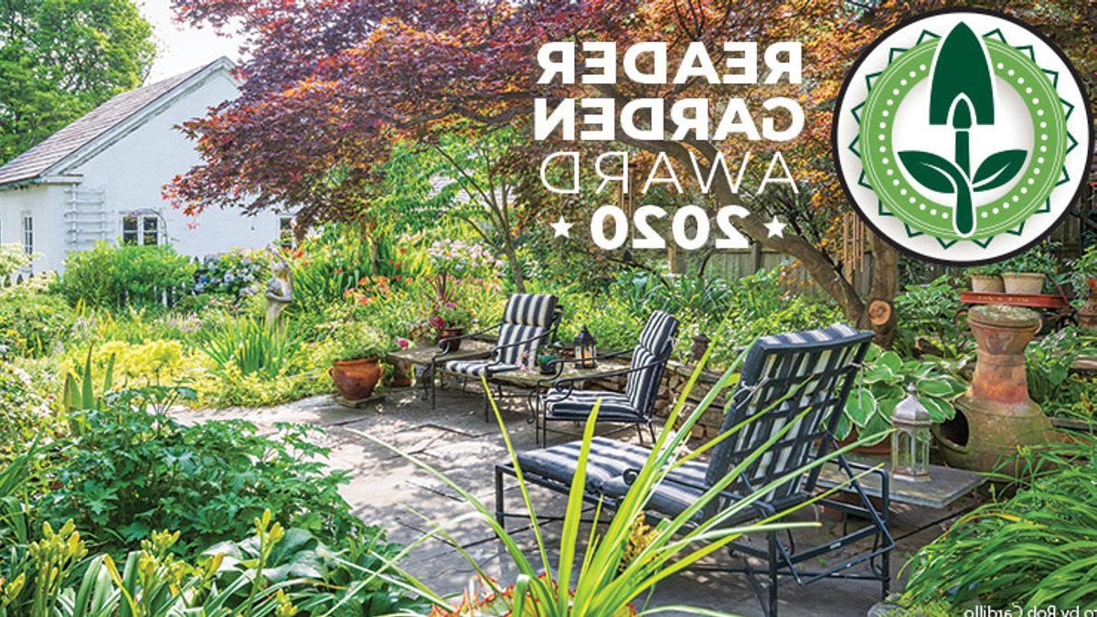 City oasis blooms in downtown garden City oasis blooms in downtown garden - urban garden
