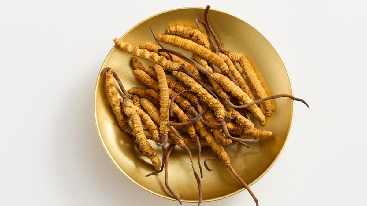 Mushroom supplement gains popularity among athletes Mushroom supplement gains popularity among athletes - cordyceps supplement
