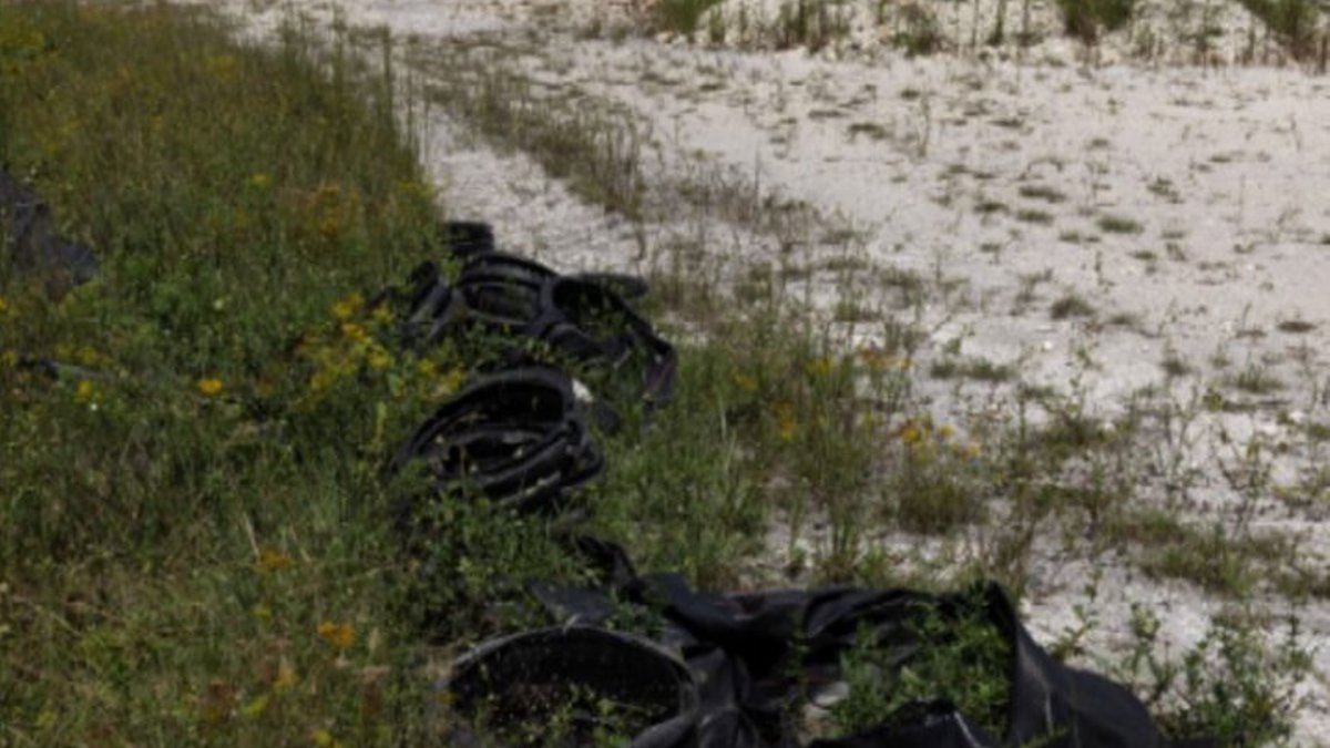 Everglades further damaged by removal of Alligator Alcatraz - alligator alcatraz removal