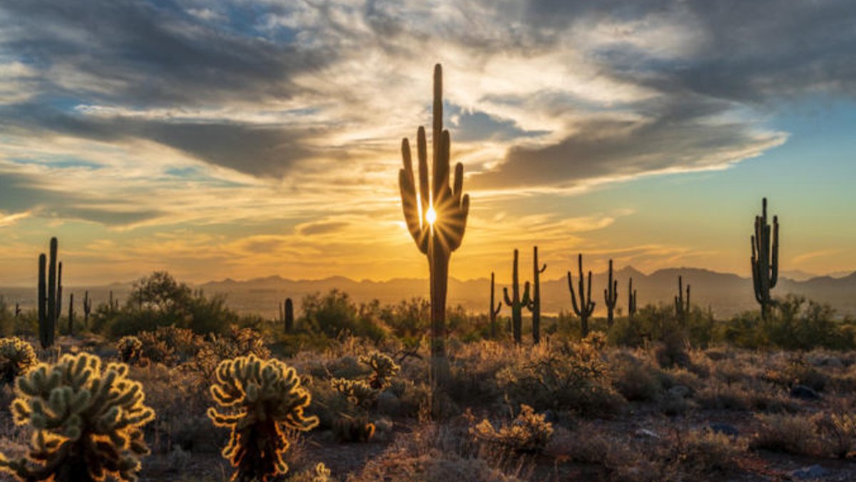 Ten luxury experiences to try in Phoenix Ten luxury experiences to try in Phoenix - luxury phoenix