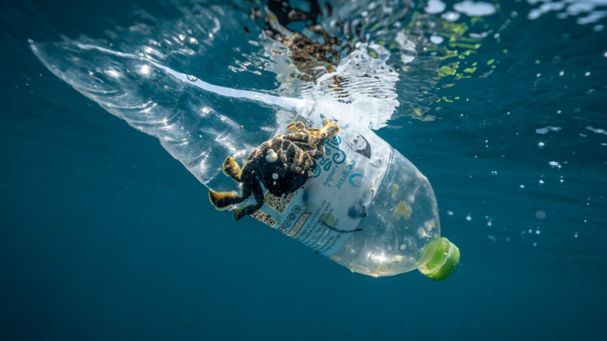 Will ICC collect 1.3 million bottles September Will ICC collect 1.3 million bottles September - coastal cleanup